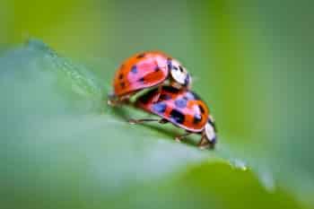 Beziehungstipps fernbeziehung