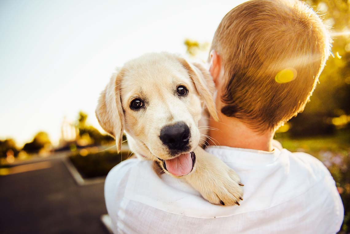 Mann mit Hund auf der Schulter