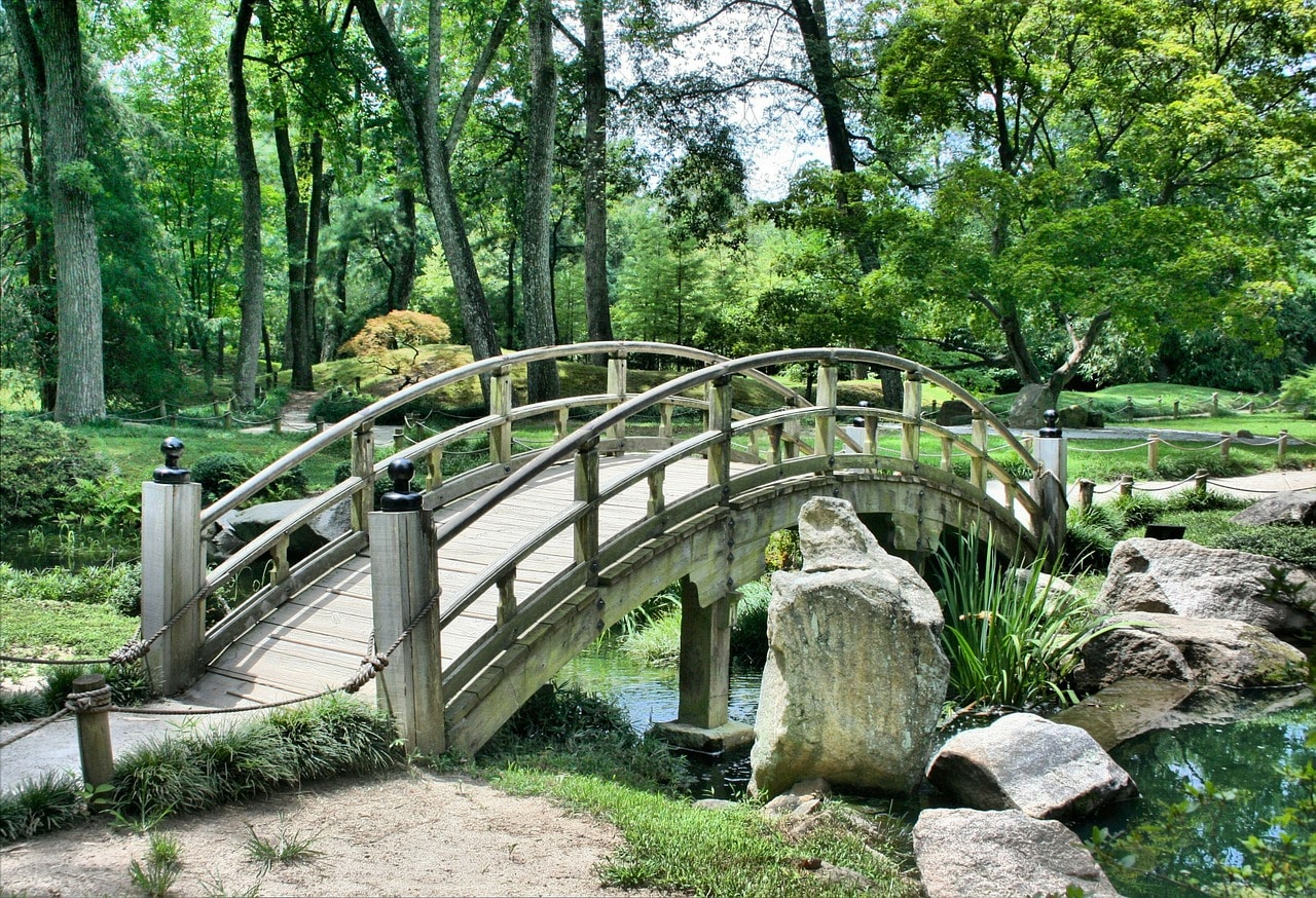 Steinbock Mann erobern - Park