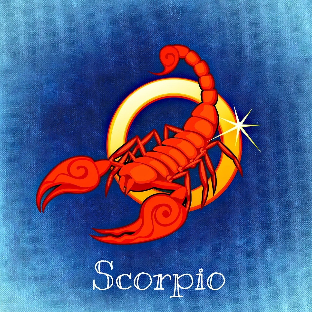 skorpion kennenlernen)