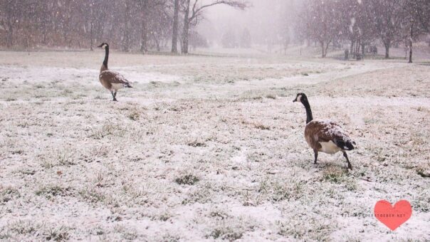 Er Bemüht Sich Nicht Um Mich Kennenlernphase Er bemüht sich nicht um mich: 10 Tipps für die Kennenlernphase